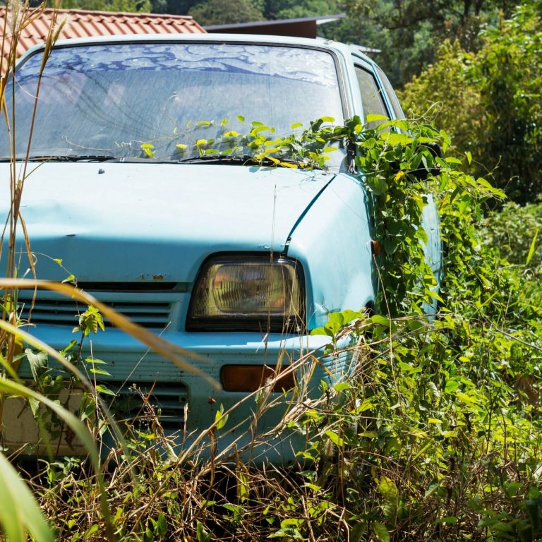 Vehicle abandoned to their fate and overgrown Vehicle abandoned to their fate and overgrown grass